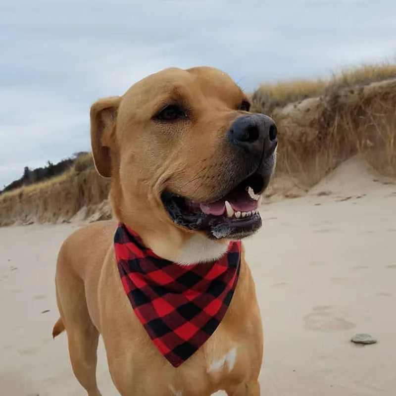Classic Dog Bandana – Stylish Cotton Bibs for Medium & Large Dogs